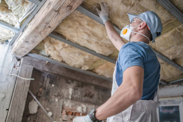 Best Insulation Installation Services in North River Shores, FL