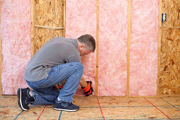 Best Residential Insulation in North River Shores, FL